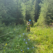 48