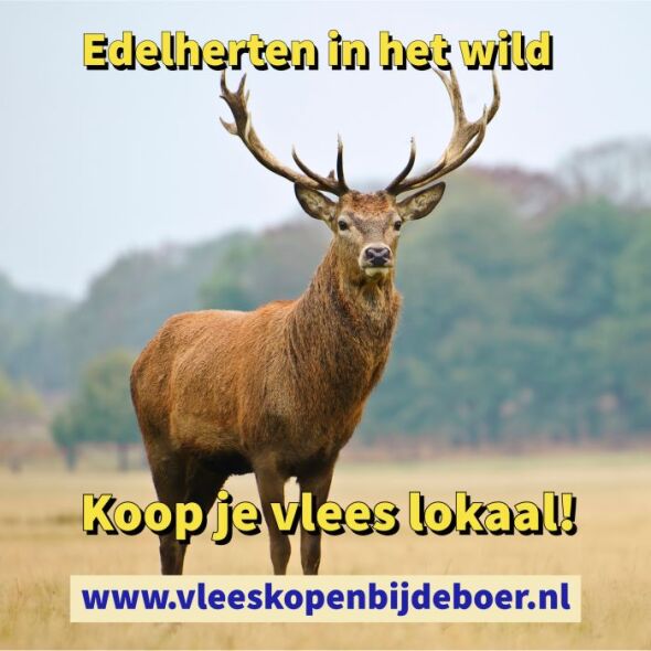 Vleespakketten met edelhert vlees - Vlees direct van de boer - Koop vlees lokaal - www.Vleeskopenbijdeboer.nl