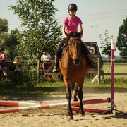 DSC03646