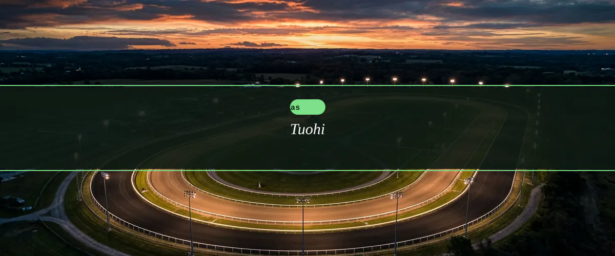 Tuohi — fiche : Top 7 uutta Brite-kasinoa vuonna 2026