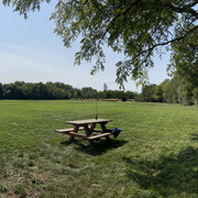 IMG-9126