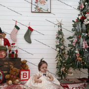 IMG 4485
