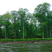 DSC06147