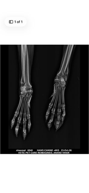 IMG 7211.png