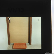IMG-1137