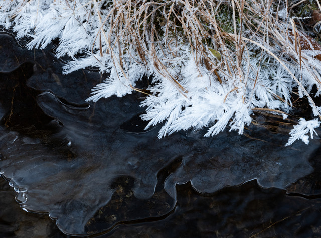 DSCF5954.jpg