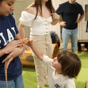 IMG 5653