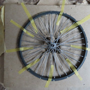 IMG-6313