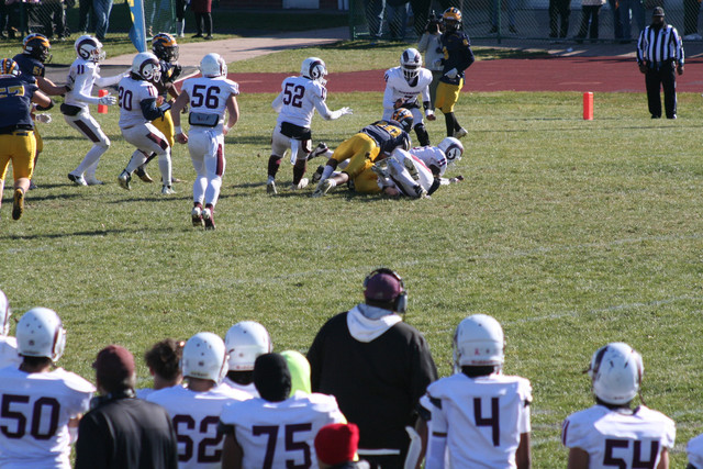 IMG-2977.jpg