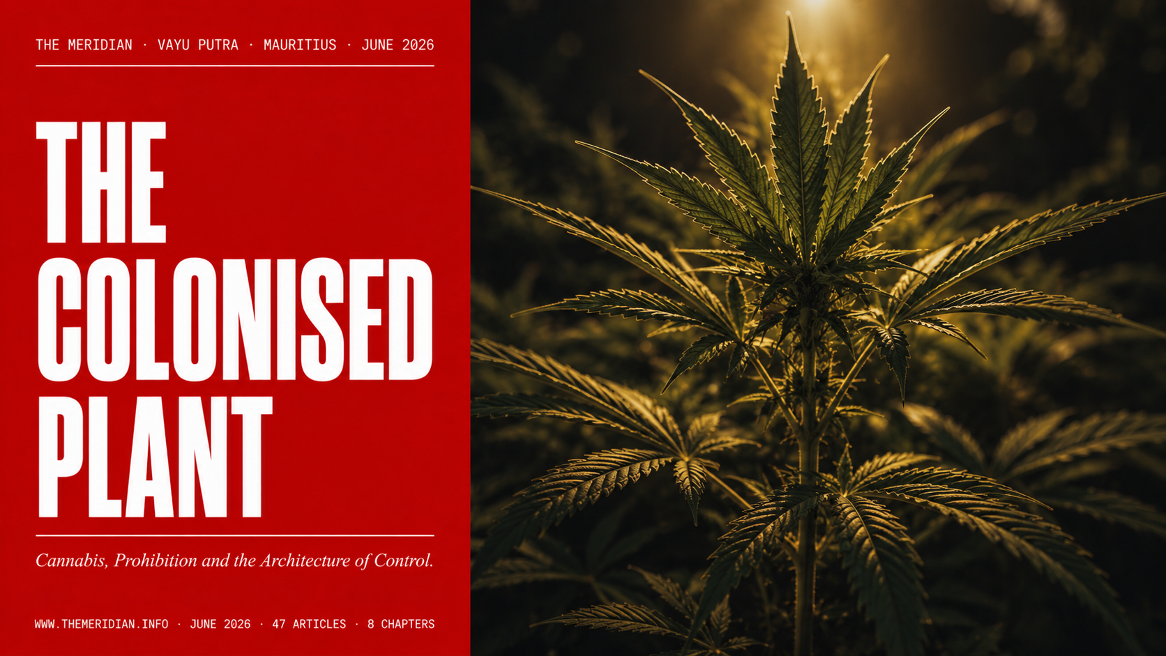 The Colonised Plant June 2026