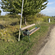 IMG-0799