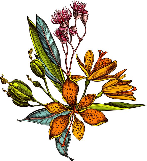539e9c95b6cc40edad856c800a5a0c85.png