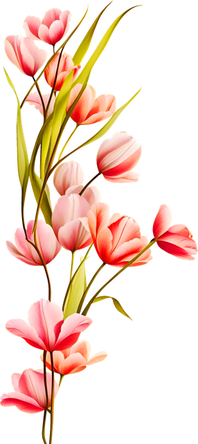 df999494fd1f2108af7d766ea19172f3.png