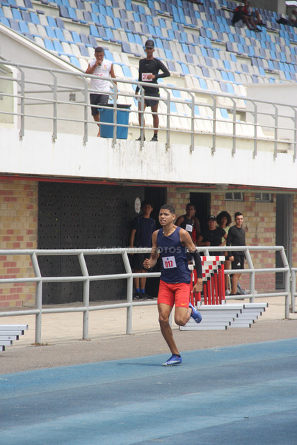 IMG-0420.jpg