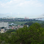 DSC00485