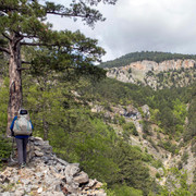 IMG 0653 (2)