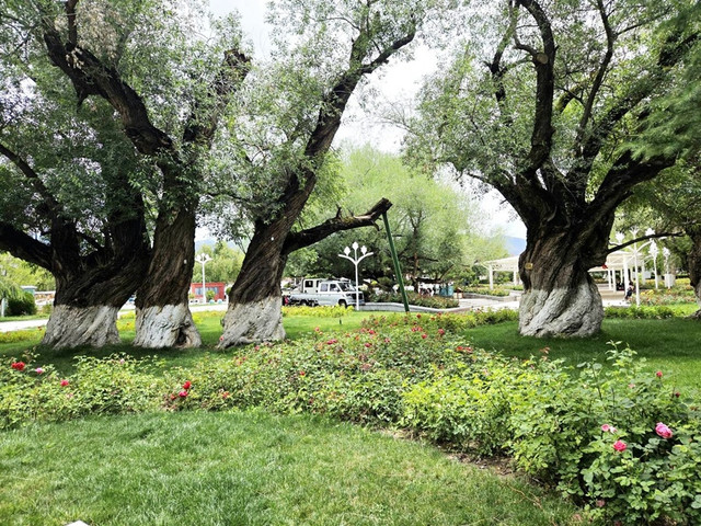 90.jpg