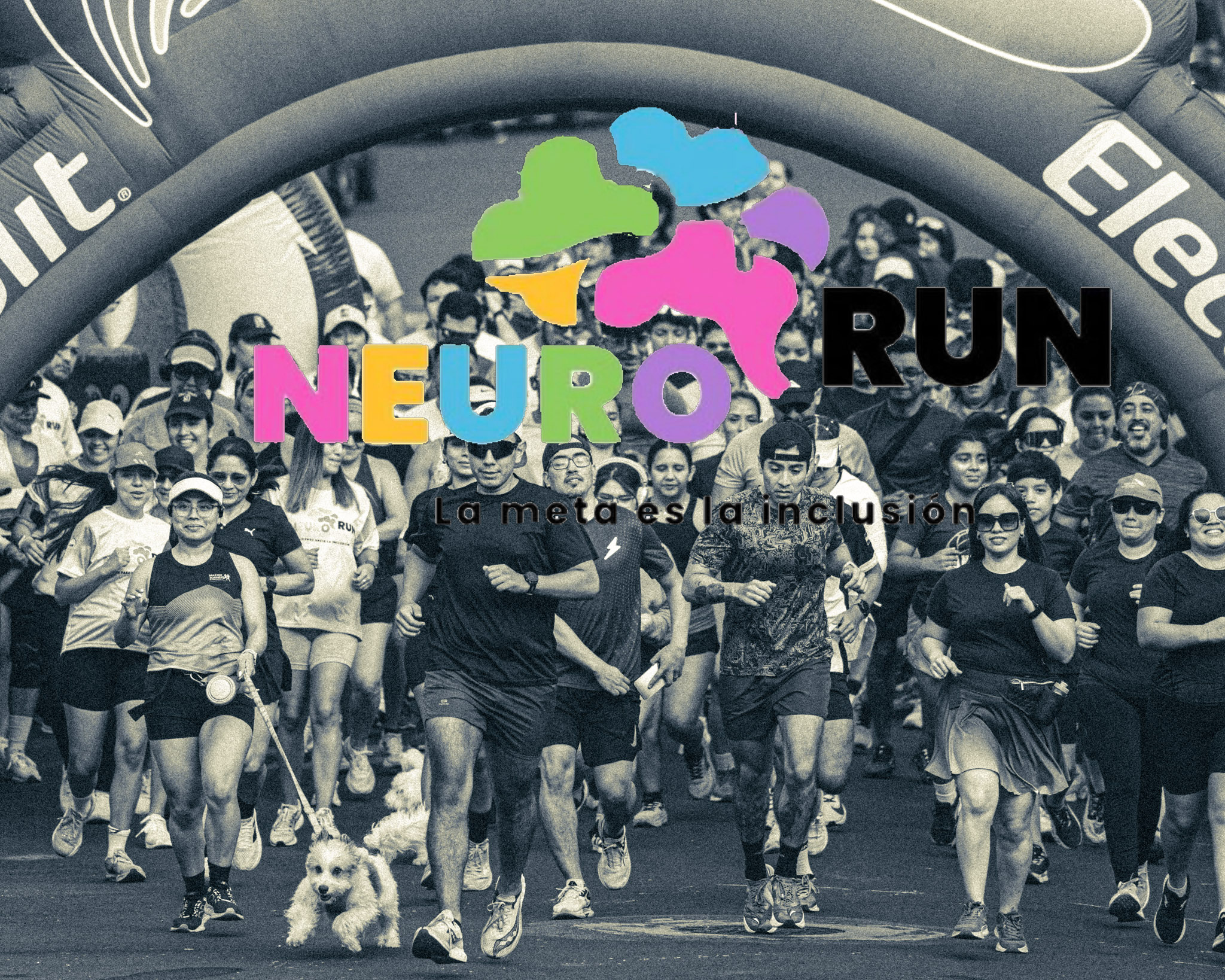 Neuro Run 2026