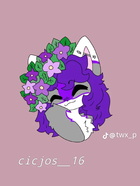 Coco headshot.webp