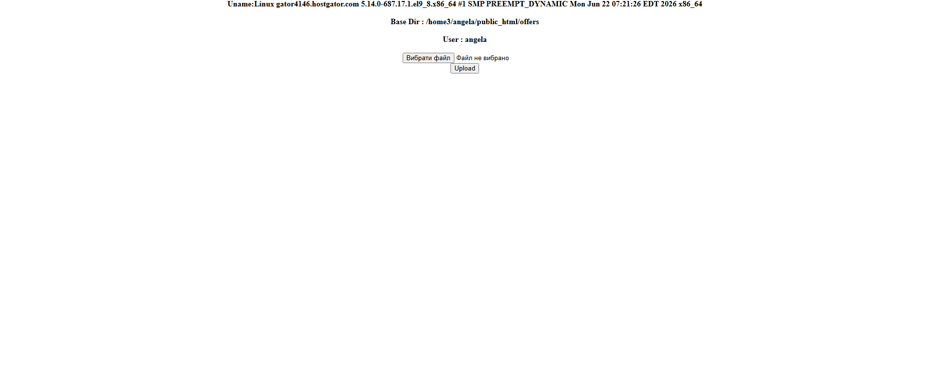 Forensic screenshot of offers.integritycleaningsystems.info showing the phishing page layout
