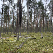 IMG 5685