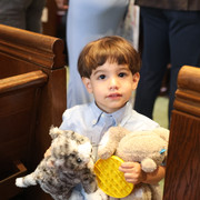 IMG 8527