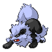 Shadow Arcanine