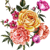 f7c9f0cb1e42b368ffdf565e5a29f31f