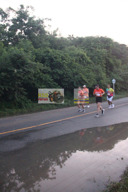 IMG-0103.jpg