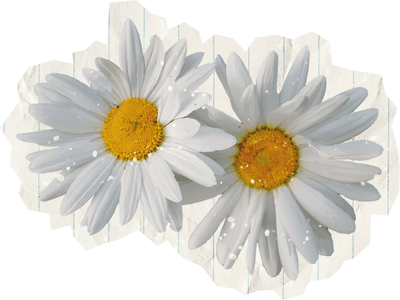DASIES