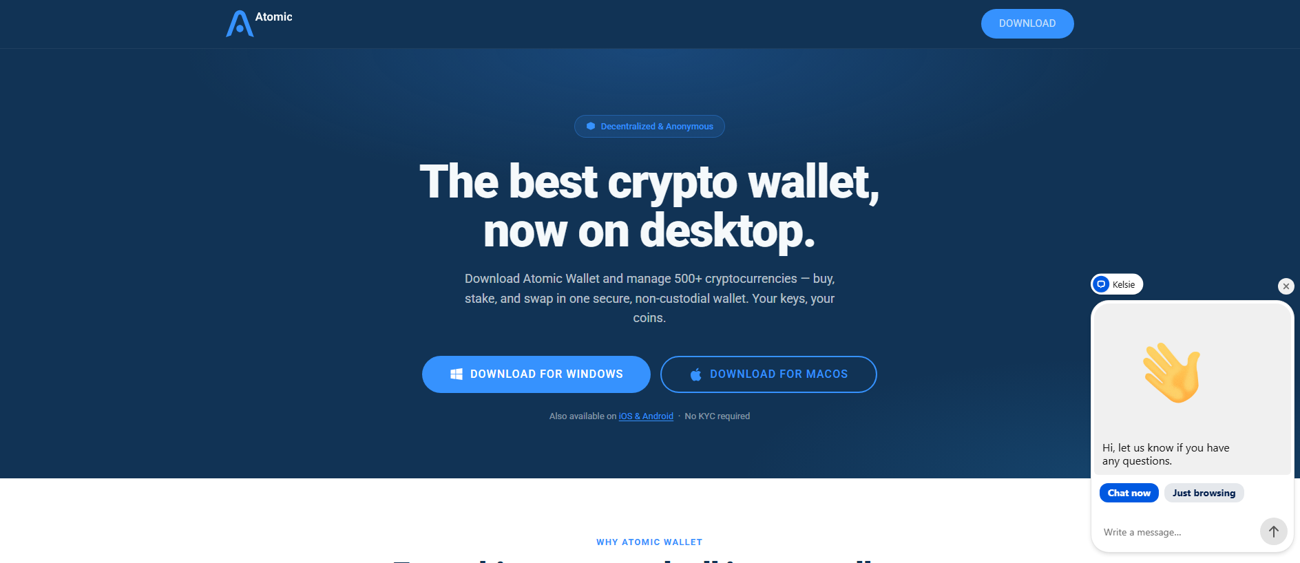 Сохранённый снимок atomicwalletdesktop.com