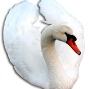 1477