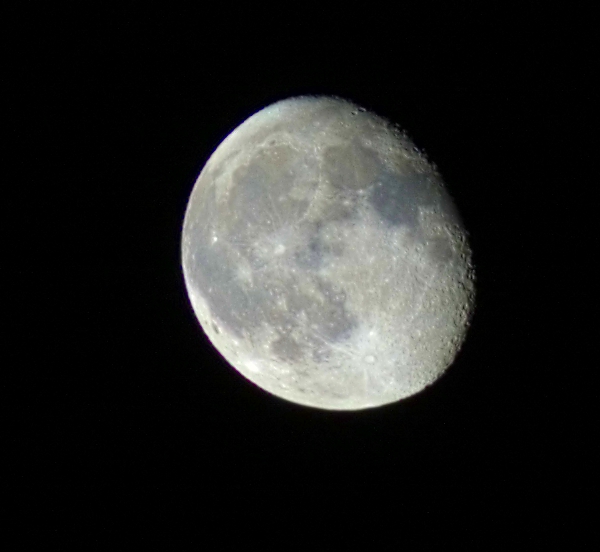 IMGP8642.jpg