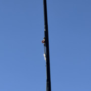 IMG-0394