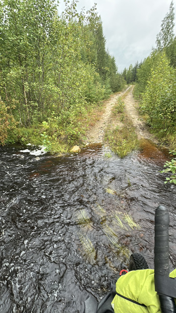 IMG 5203.jpg