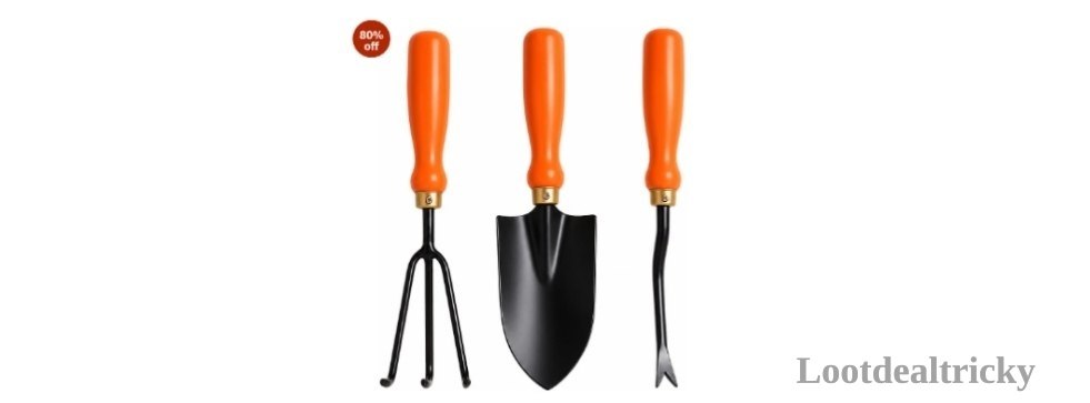 Ocean Mart Garden – Just 50% OFF | Huge Savings Offer Ocean Mart Garden – Just 50% OFF | Huge Savings Offer