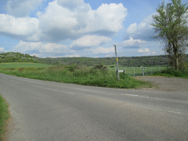 IMG-4369.jpg