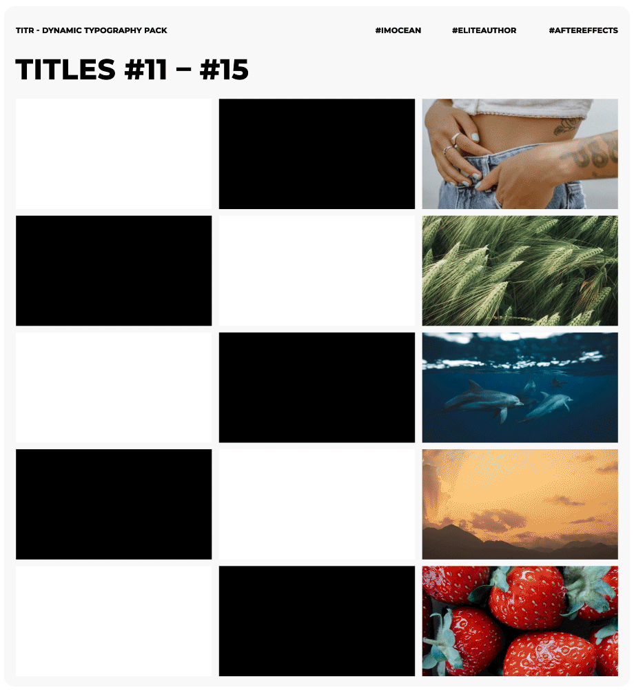 TITR | Dynamic Typography Pack - 10