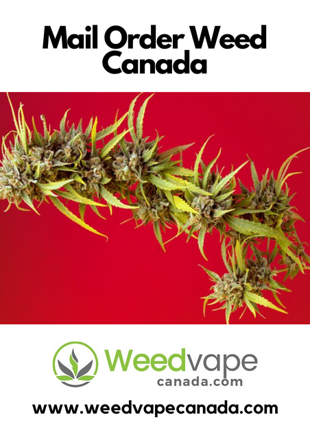 Main-Order-Weed-Canada-26.png