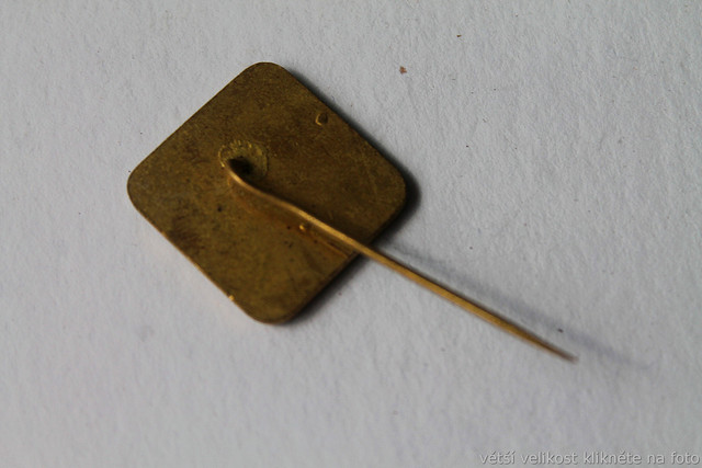 IMG-6827.jpg