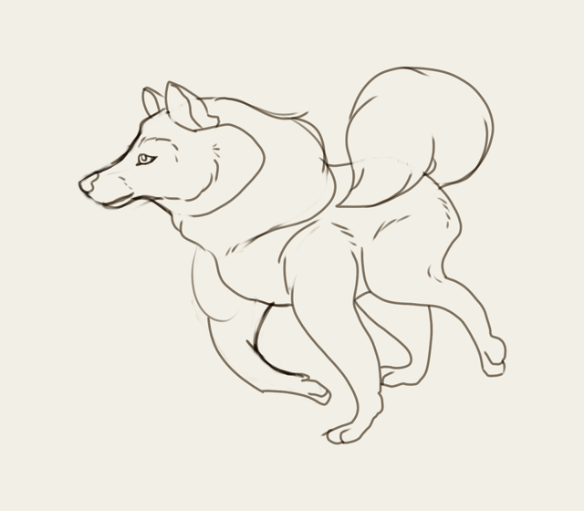 sketch