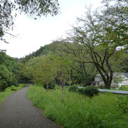 P1350318