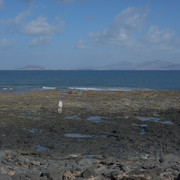 DSCF8250