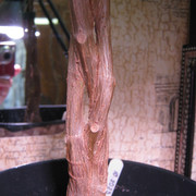 IMG 6441