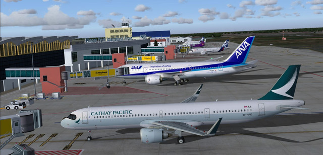 254.jpg