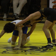 IMG-0113
