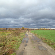 IMG-4344