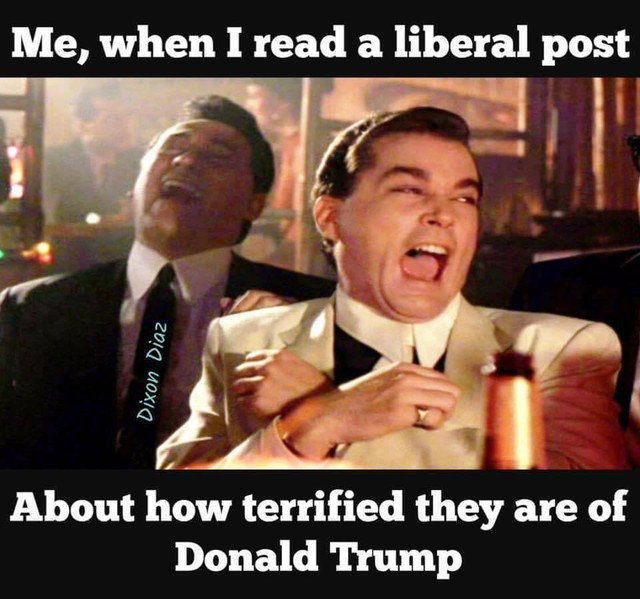 dt45e
