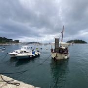 IMG-1561