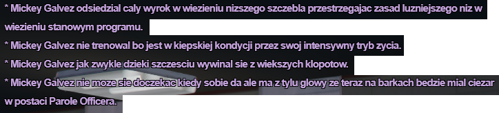 ss2.png